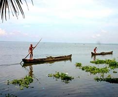 Trip To Alleppey