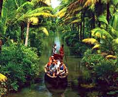 Alleppey Tour Package