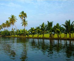 Alleppey Vacation