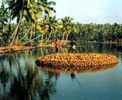 Holiday Package Alleppey